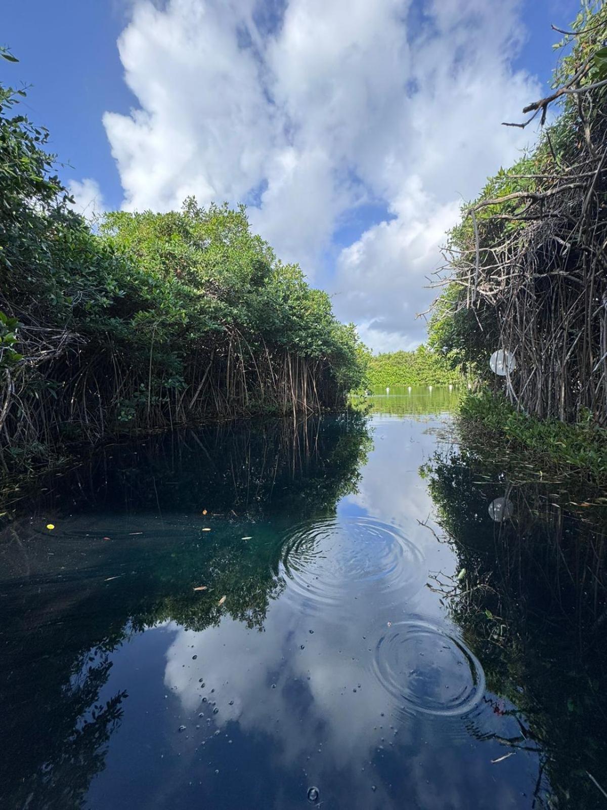 Cabanas Tulum - Aldea Mangle & Cenote 외부 사진