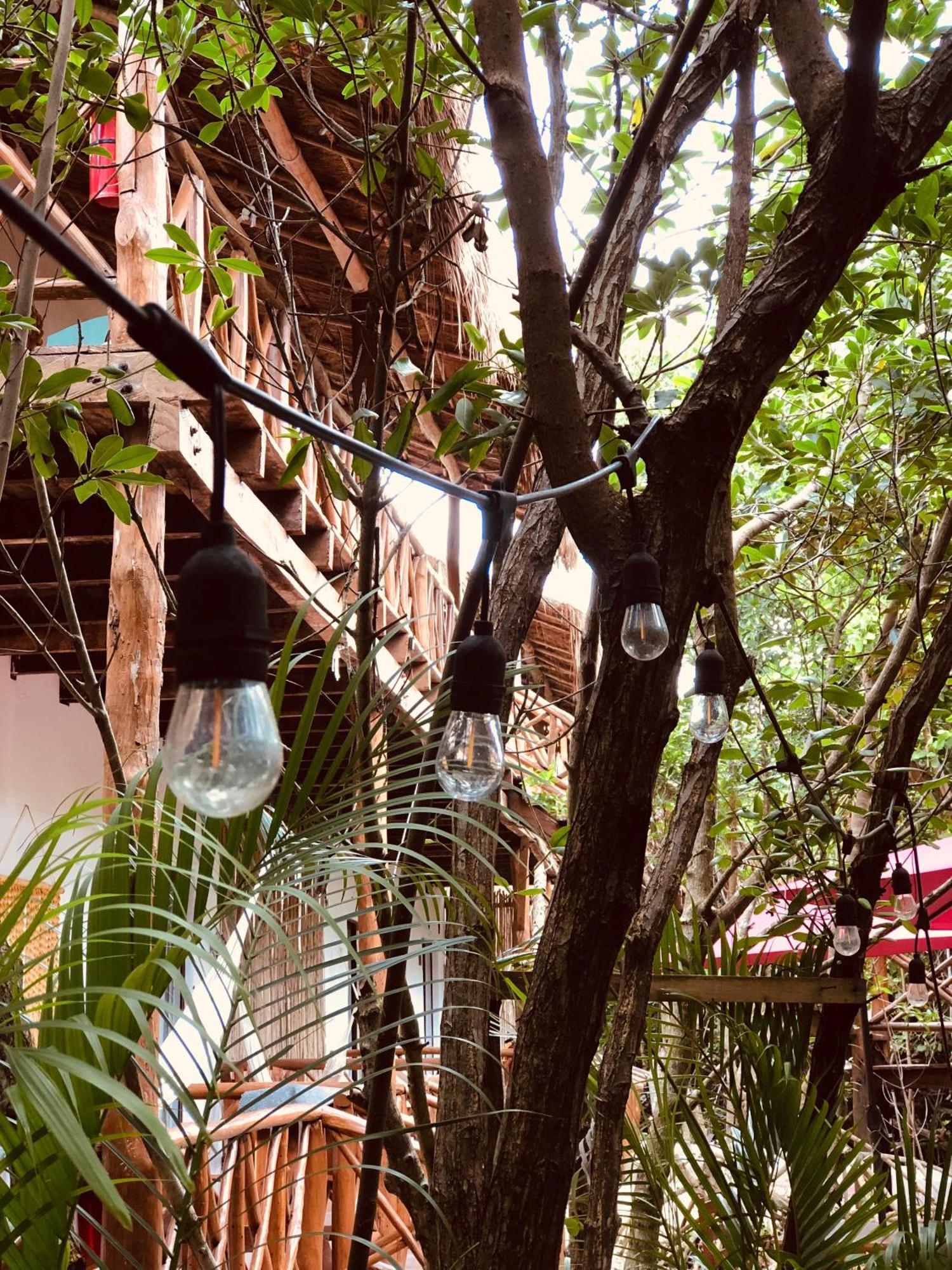 Cabanas Tulum - Aldea Mangle & Cenote 외부 사진