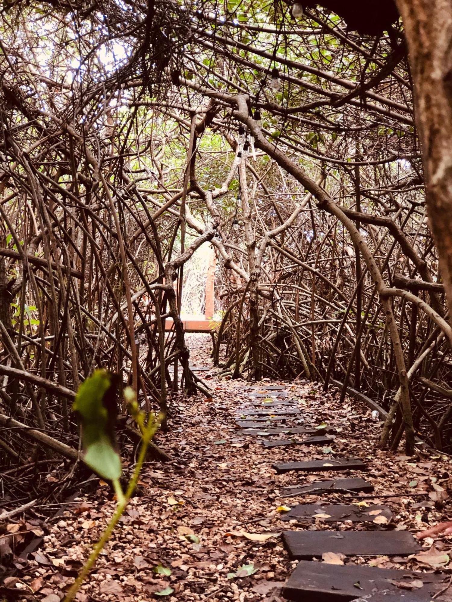 Cabanas Tulum - Aldea Mangle & Cenote 외부 사진