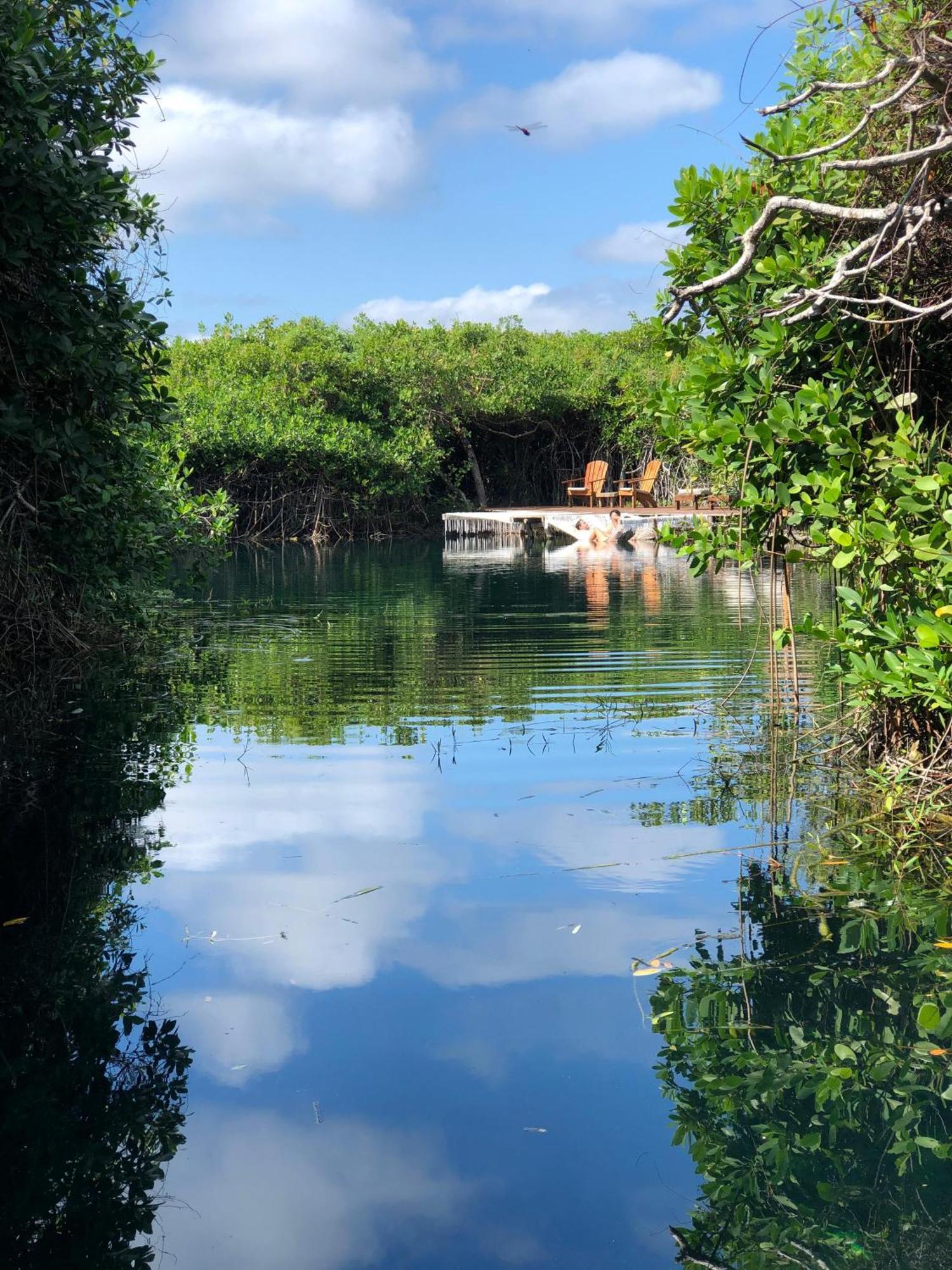 Cabanas Tulum - Aldea Mangle & Cenote 외부 사진