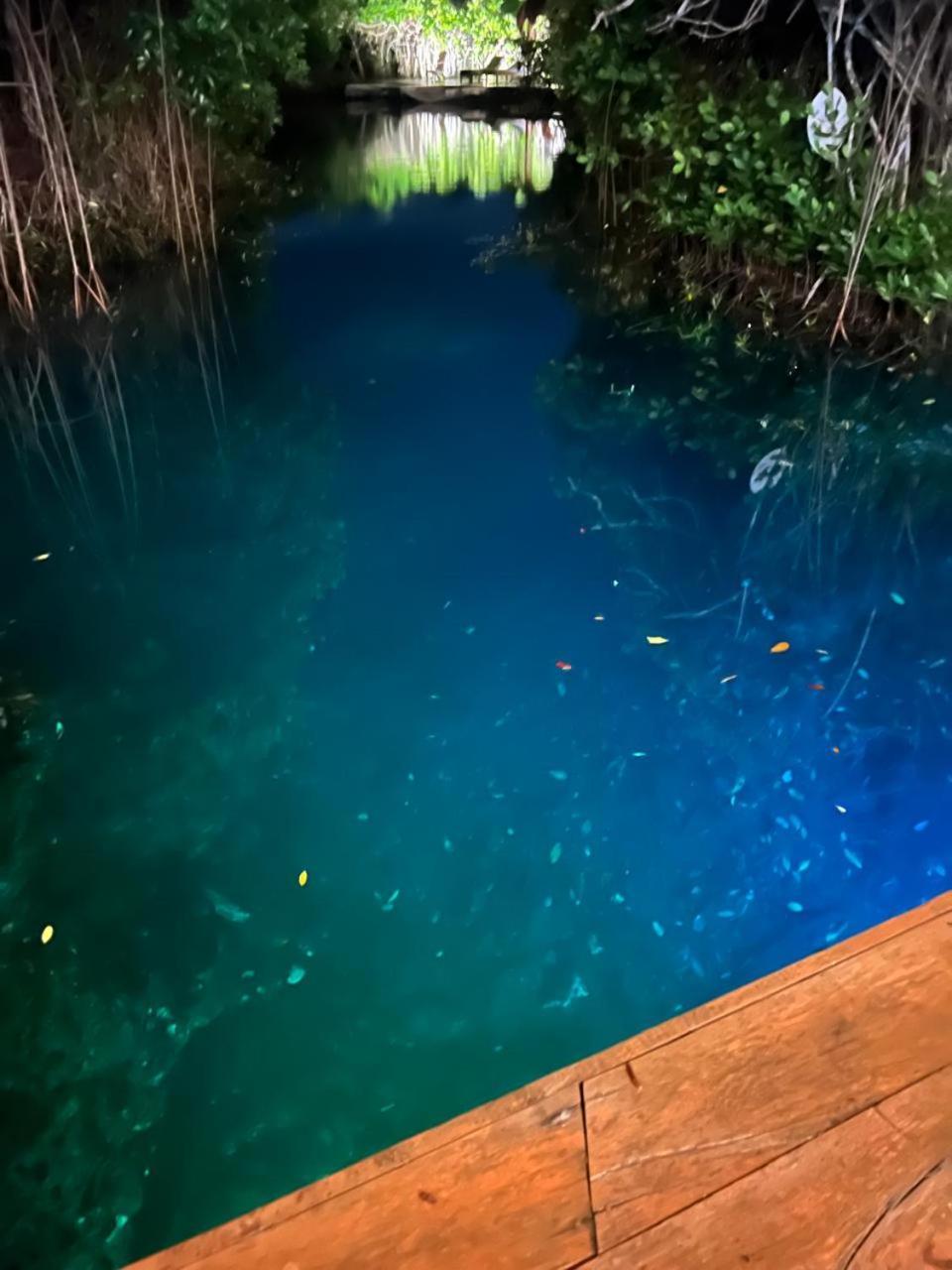 Cabanas Tulum - Aldea Mangle & Cenote 외부 사진