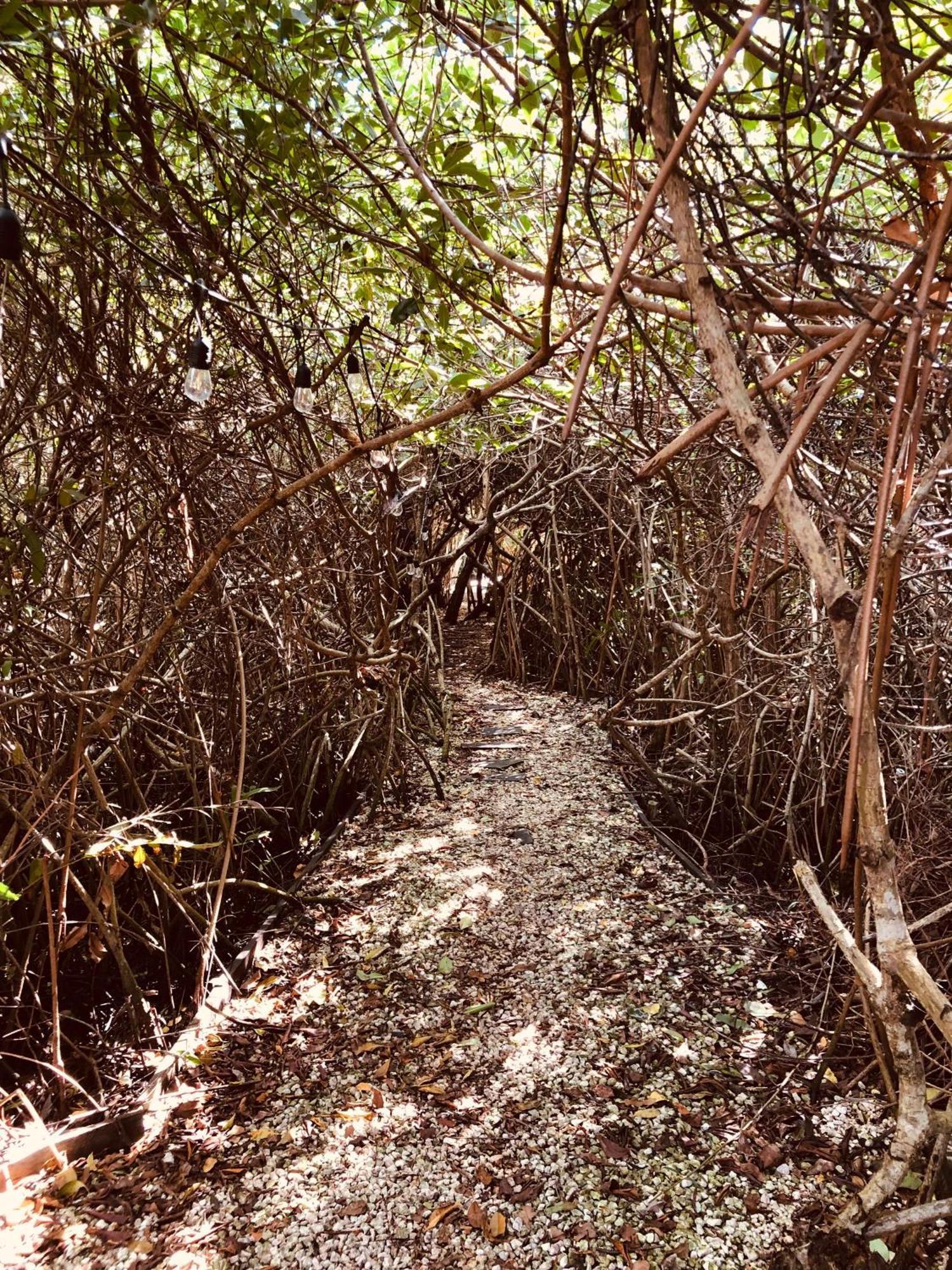 Cabanas Tulum - Aldea Mangle & Cenote 외부 사진