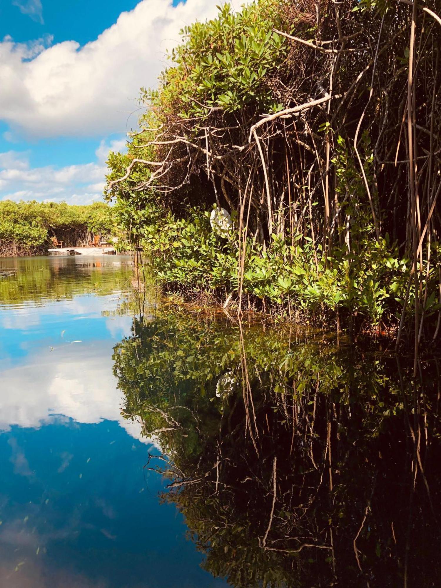 Cabanas Tulum - Aldea Mangle & Cenote 외부 사진