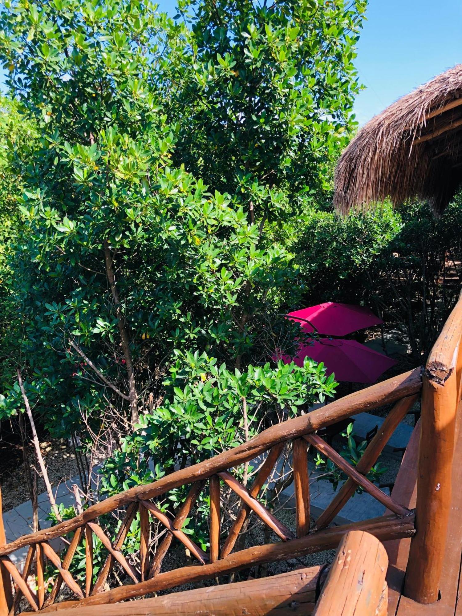 Cabanas Tulum - Aldea Mangle & Cenote 외부 사진